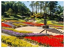 สวนแม่ฟ้าหลวง