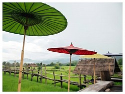 กาแฟบ้านไทลื้อ อ.ปัว