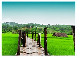 สะพานซูตองเป้