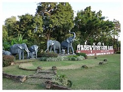 สถาบันคชบาลแห่งชาติ ในพระอุปถัมภ์ฯ (ศูนย์อนุรักษ์ช้างไทย)