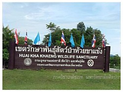เขตรักษาพันธุ์สัตว์ป่าห้วยขาแข้ง